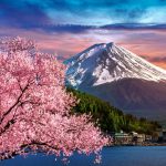 Un oraş din Japonia începe să blocheze priveliştea Muntelui Fuji