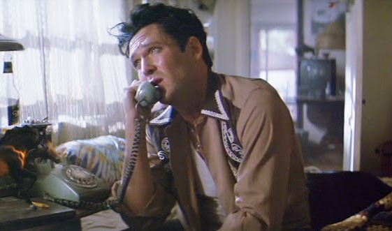 Michael Madsen arestat pentru violenţă domestică