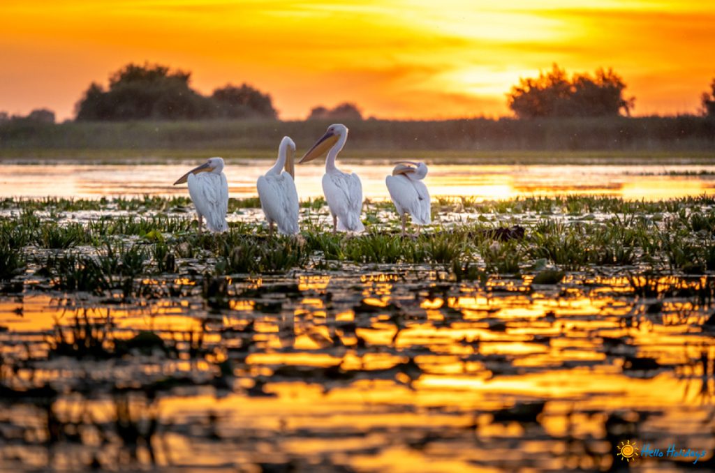 Patrimoniul natural şi cultural al Deltei Dunării, promovat în Polonia